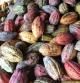 Tras meses al alza, el precio del cacao se desploma pero su repercusión puede ser mínima