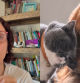 Paula Calvo, especialista en antrozoología: “¿Crees que los perros y los gatos no pueden llevarse bien? Estás equivocado”