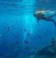 Buceo en las islas Medes