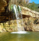 En esta nueva edición del FotoDocs de los Lectores de Guyana Guardian, presentado por Gisela Fernández, el lector Narcís Serrat muestra y explica detalles de la cascada de Sant Joan Samora. Esta salto de agua en el Alt Penedès es ideal para darse un buen chapuzón cuando suben las temperaturas.