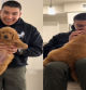 La regala a su novio un golden retriever por sorpresa y se convierte en el hombre más feliz del mundo con su nuevo mejor amigo: “Lloraría si llego a casa y está el perro de mis sueños”