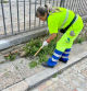Una trabajadora de la brigada de limpieza retira las malas hierbas.