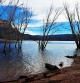 El bosque inundado del pantano de Sau.