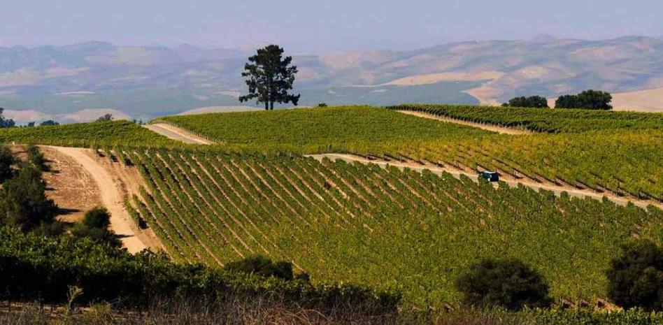 La Audiencia Nacional investiga a tres bodegas de Valdepeñas