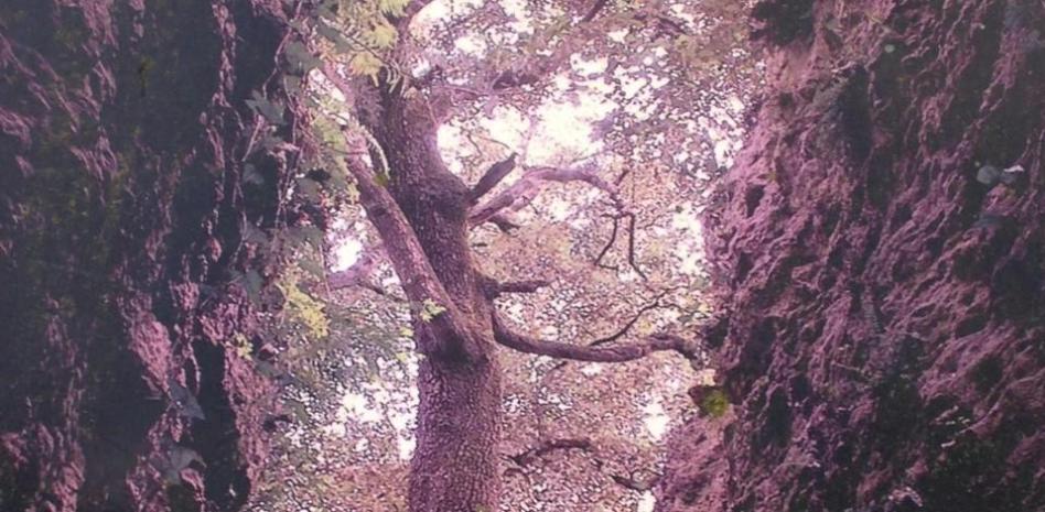 Los escondites de Porqueres