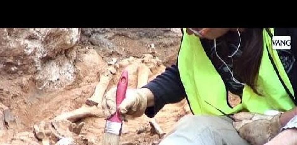 Hallan esqueletos humanos en las obras de la plaza del Pedró, en el Raval