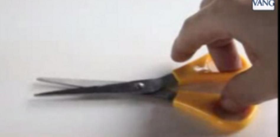 Las promesas más curiosas de los partidos minoritarios