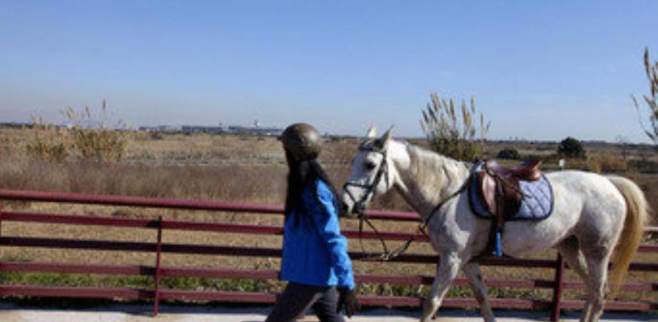 Cartas de los lectores a favor y en contra del proyecto de Las Vegas Sands Corp en Catalunya