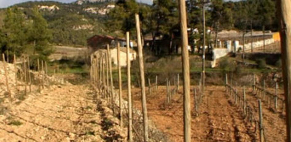 Ruta por las bodegas de la DO Montsant