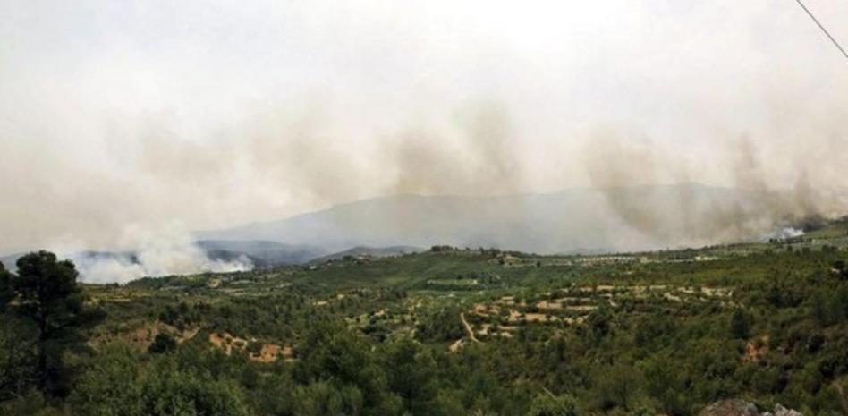 Catástrofe ecológica: más de 40.000 hectáreas quemadas en Valencia