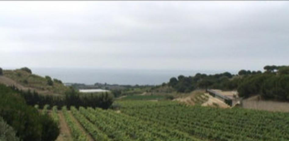 Enología y modernismo en la costa de Barcelona