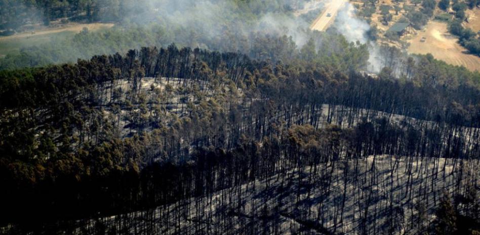 El incendio del Alt Empordà podría entrar en fase de control hoy