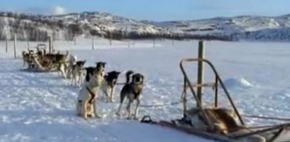 Hurtigruten: Aventura ártica entre fiordos en busca de auroras boreales