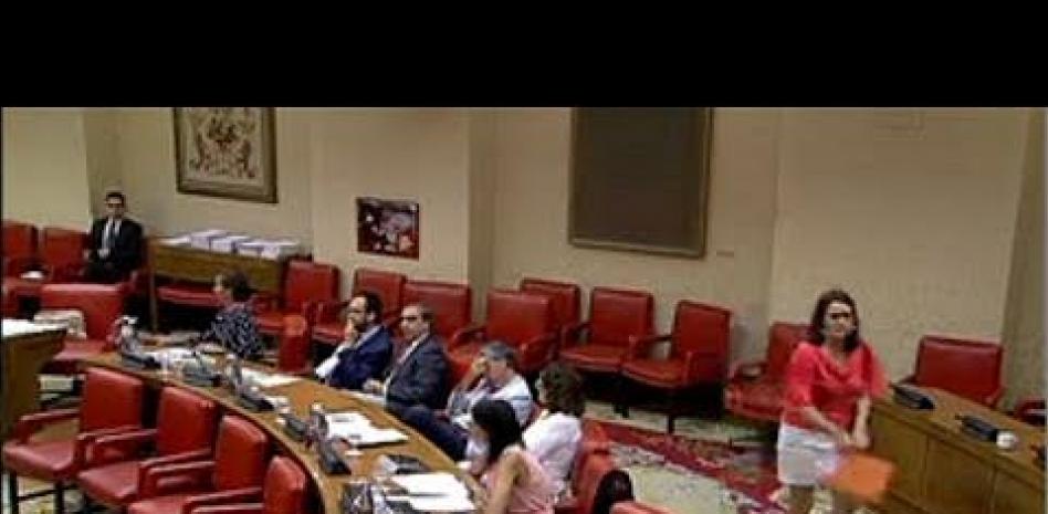 Tensión entre PP y PSOE por el caso Bárcenas y el presidente del Constitucional