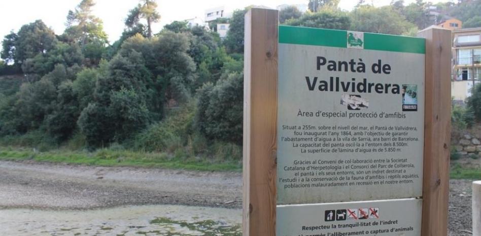 El abandono de peces y tortugas exóticas obliga a vaciar el pantano de Vallvidrera