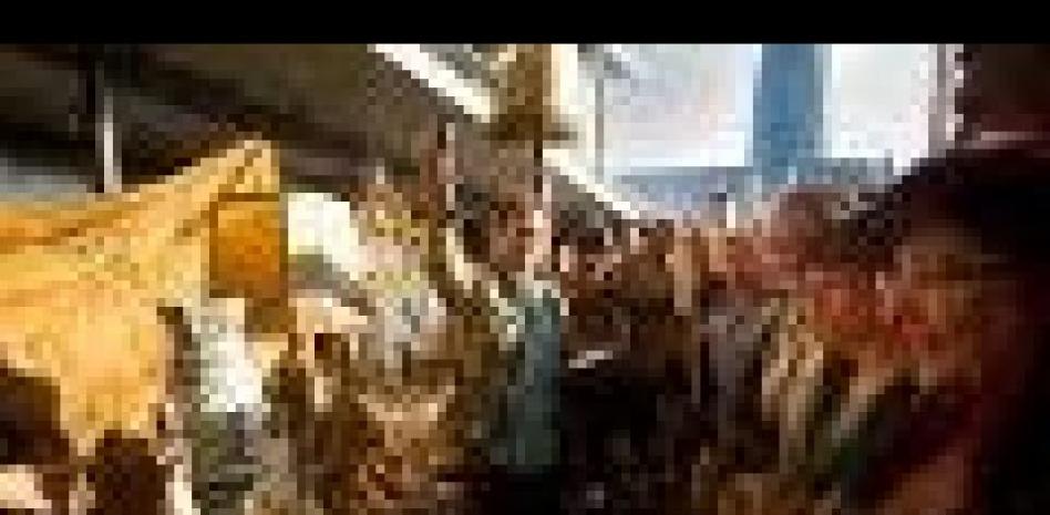 Las principales novedades de los Encants Vells