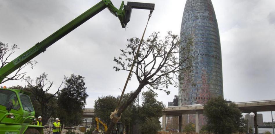 Los nuevos Encants atraen al visitante extranjero