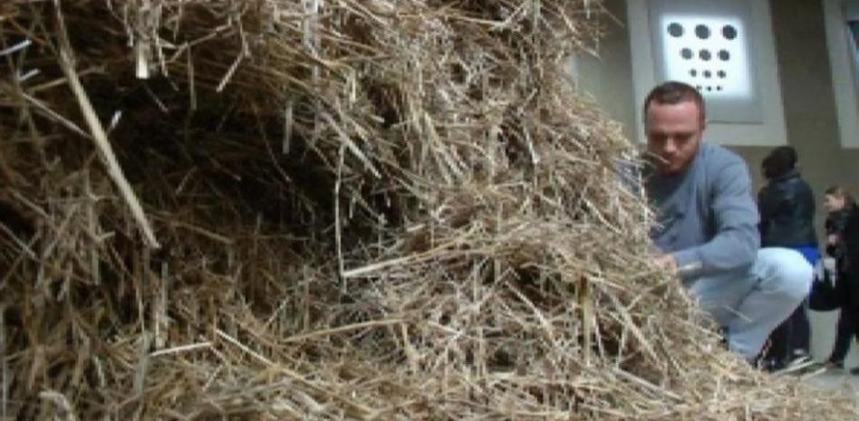 Un artista busca durante días una aguja en un pajar