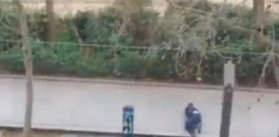 El alto precio de la libertad