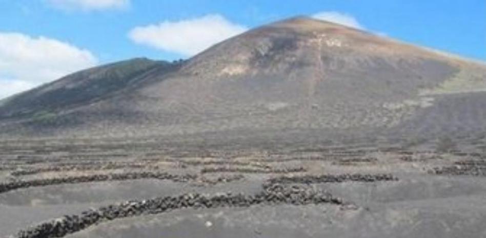 La muerte de un cetáceo calienta la polémica por las prospecciones en Canarias
