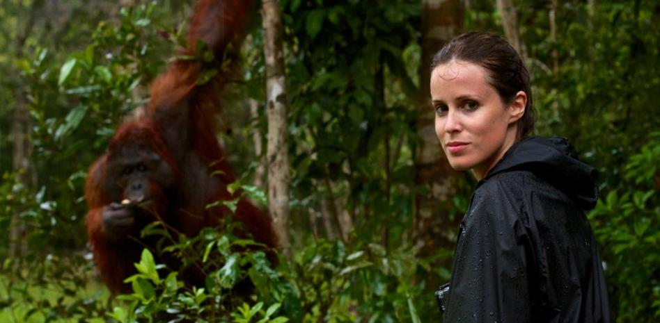 Viaje a Borneo en busca del hombre de la selva