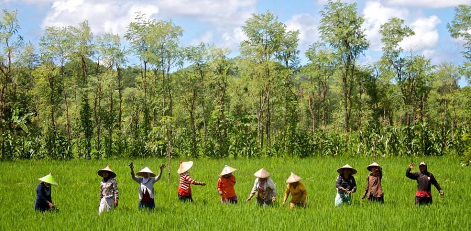 Lombok, la hermana desconocida de Bali