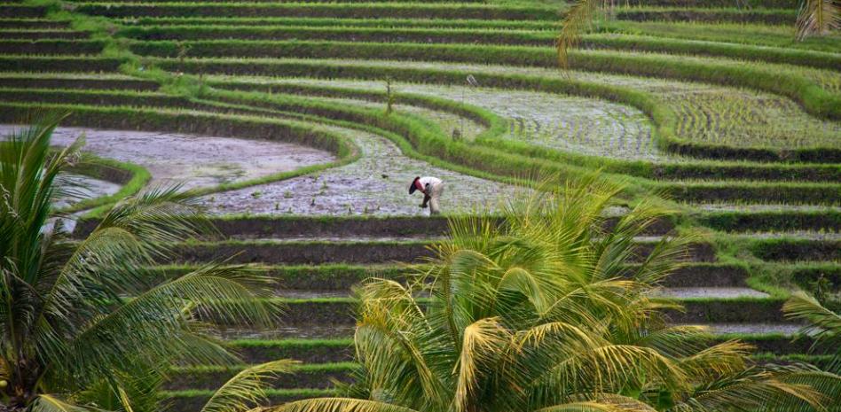 El lado más desconocido de la isla de Bali