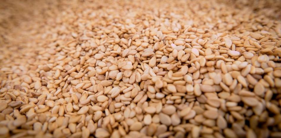 Qué vitaminas tienen las semillas de sésamo