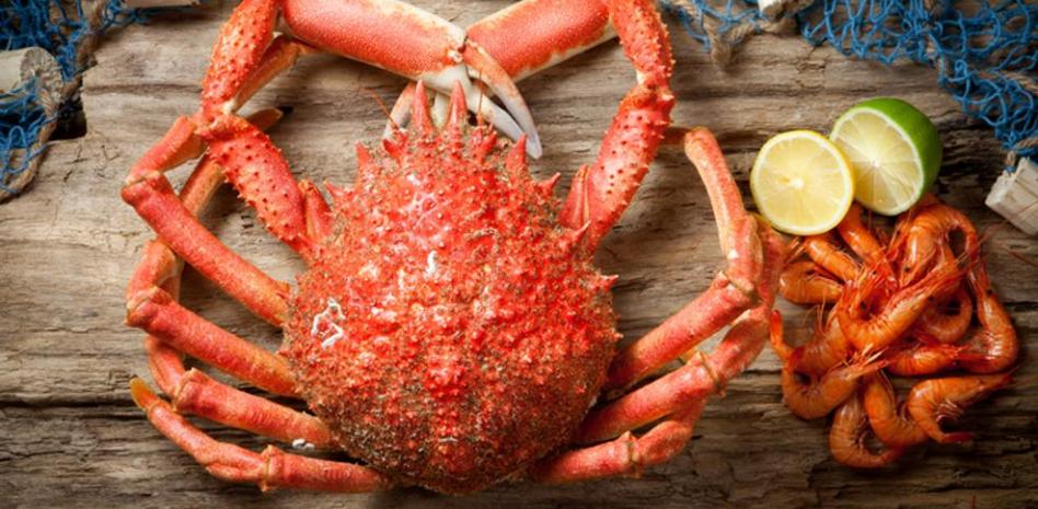 Centollo: propiedades, beneficios y valor nutricional