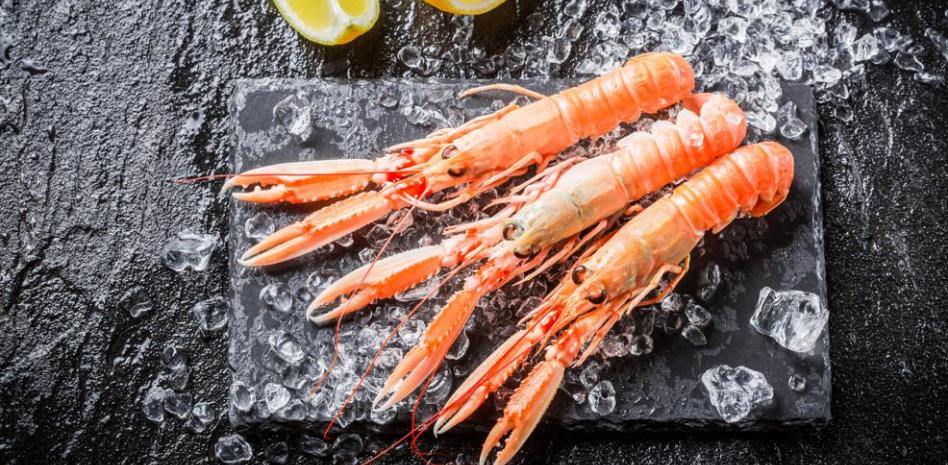 Cuáles son las propiedades nutricionales de las cigalas