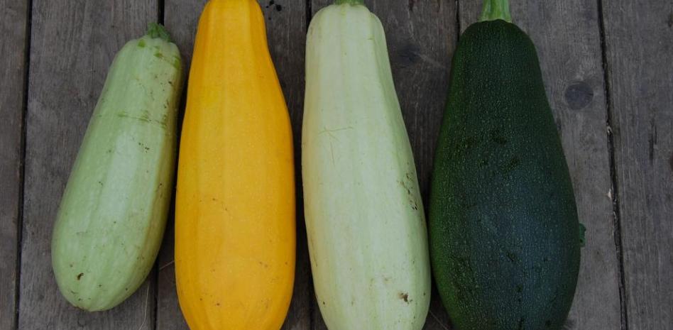 Calabacín: propiedades y beneficios