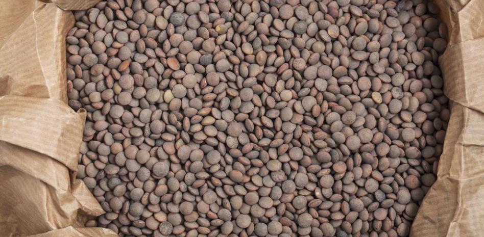 Las lentejas, un pilar de la dieta mediterránea que no puede faltar en una dieta equilibrada