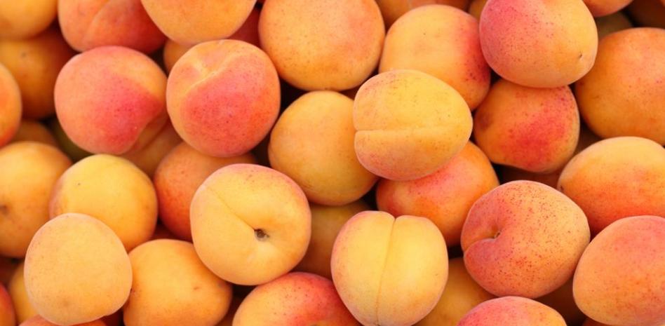 Albaricoque: descubre cuáles son sus beneficios y propiedades