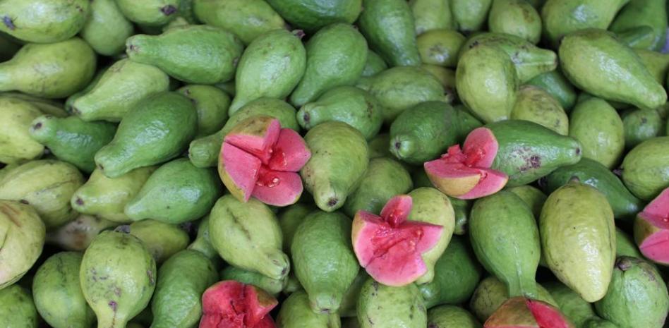 Guayaba: propiedades, beneficios y valor nutricional