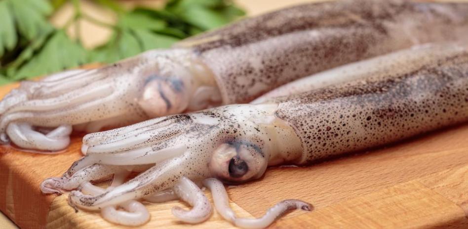 Calamar: descubre sus beneficios, propiedades y valor nutricional