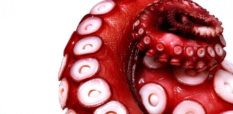 Pulpo: propiedades, beneficios y valor nutricional del cefalópodo más popular