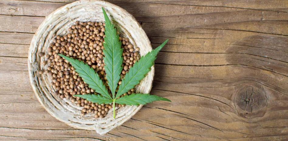 Qué son las semillas de cáñamo y para qué sirven