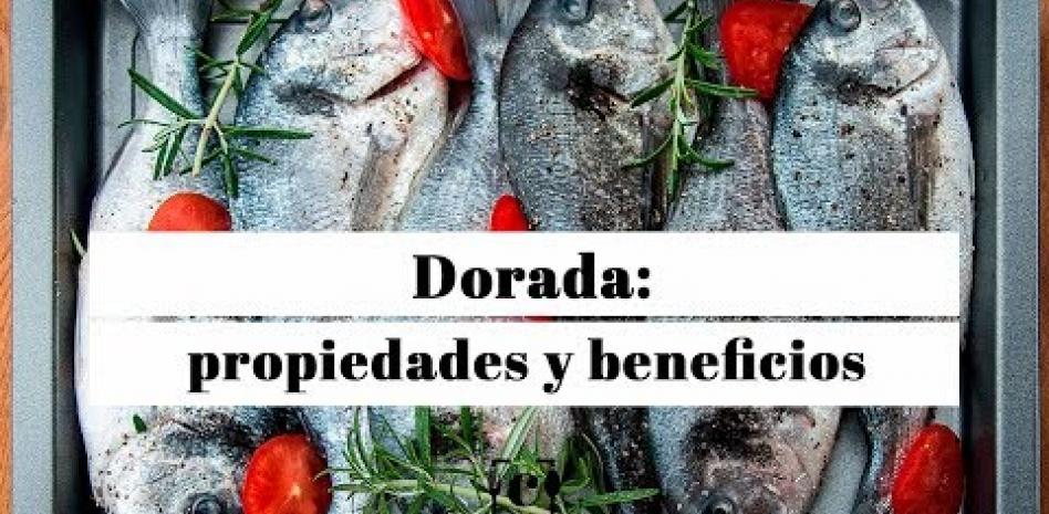 Dorada: propiedades, beneficios y valor nutricional