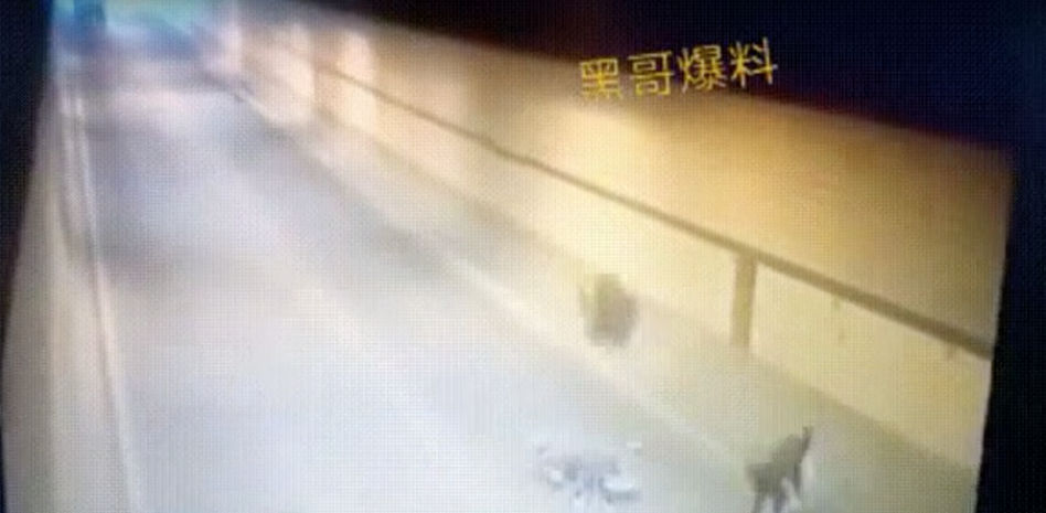 El vídeo viral de un motorista con muy mala suerte