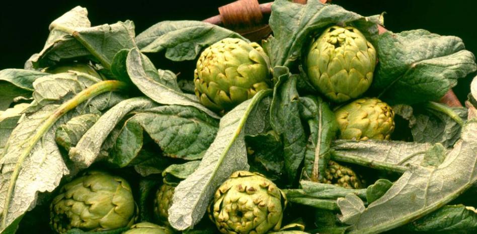 Cómo preparar una crema suave de alcachofas