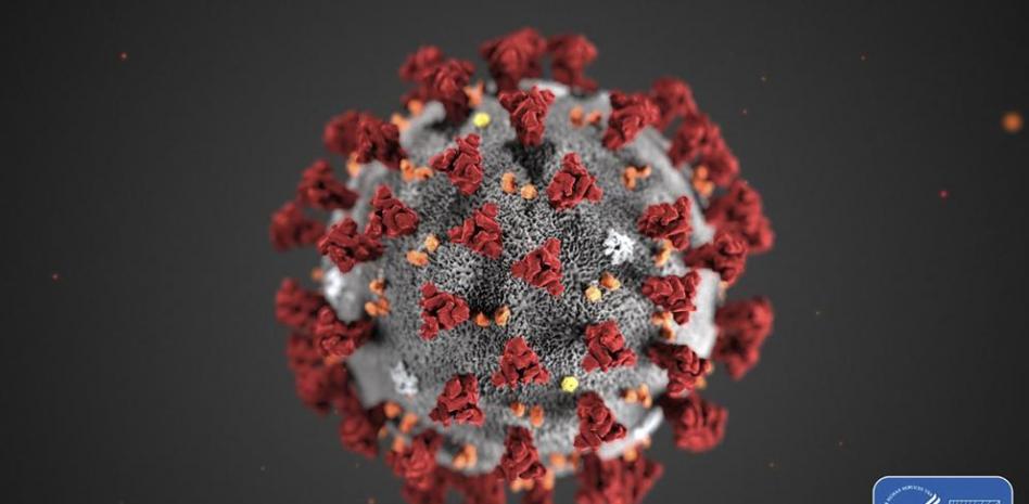 El miedo al coronavirus es peor que el propio virus