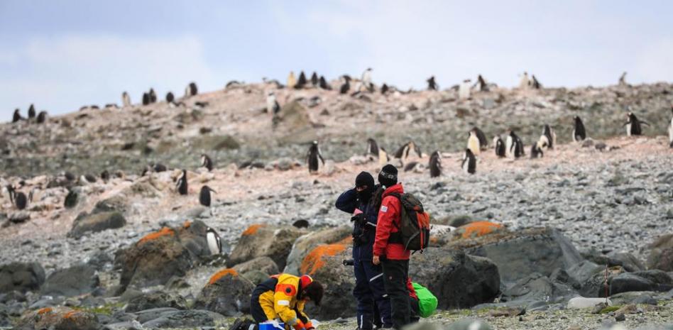 Antártida: icebergs gigantes en aguas cada vez menos frías