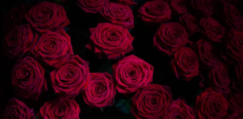 Catalunya afronta un Sant Jordi atípico por el brote pandémico del coronavirus