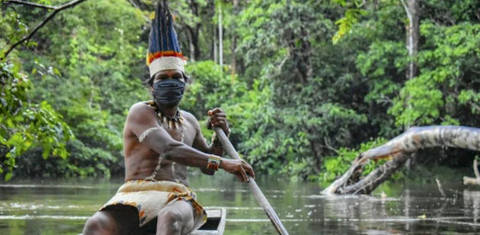 La deforestación de la Amazonía se extiende tan rápido como la Covid-19