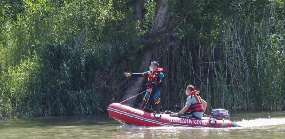El cocodrilo de Valladolid: paradigma del abandono (real) de animales exóticos