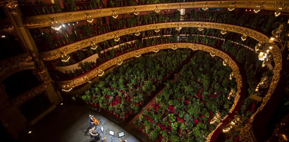 El Liceu vive un insólito ‘Concierto del Bioceno’ para las plantas 