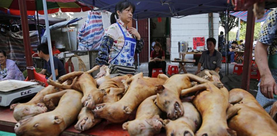 Yulin vuelve a vender y comer carne de perro pese a la oposición del gobierno