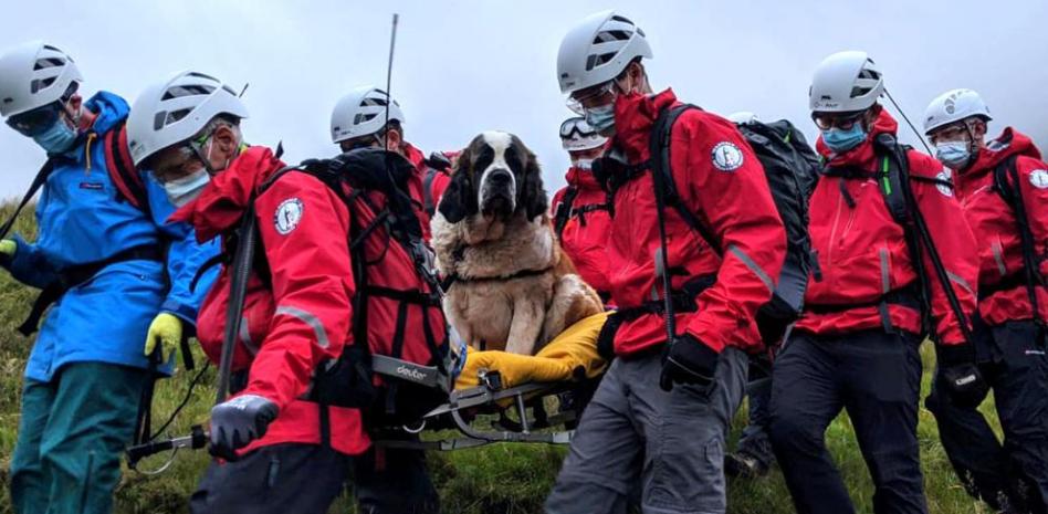 Una perra San Bernardo de 55 kilos protagoniza el rescate de montaña más curioso