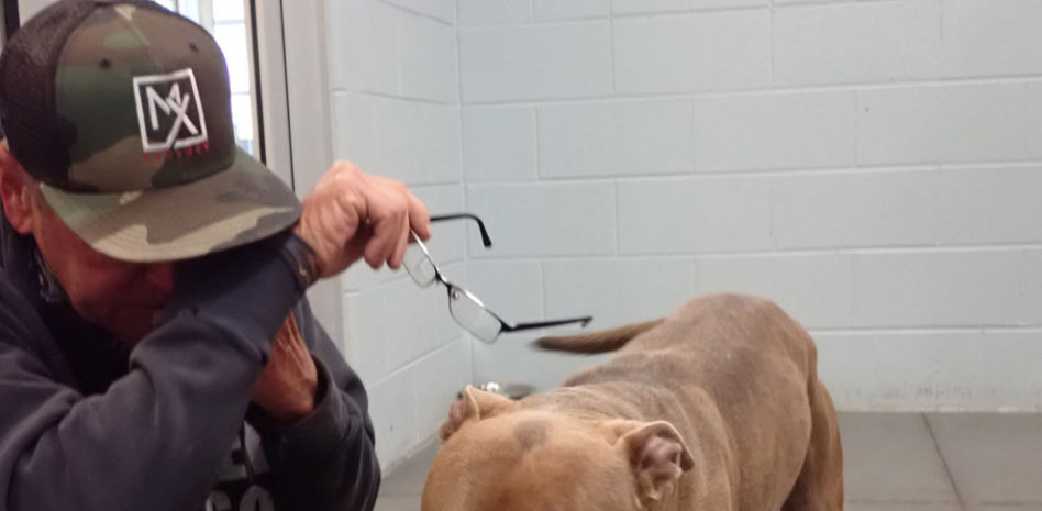 Vídeo: el emotivo reencuentro de un perro con su dueño tras estar 200 días separados