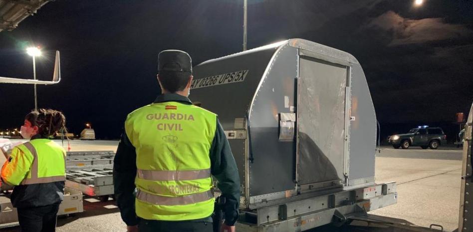 Empieza la distribución de las primeras vacunas de Moderna llegadas a España